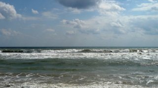Black sea