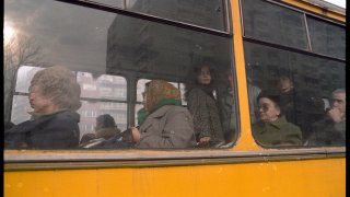 автобус, градски транспорт