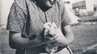 486px-PikiWiki_Israel_27878_The_Religious_Kibbutz_Movement