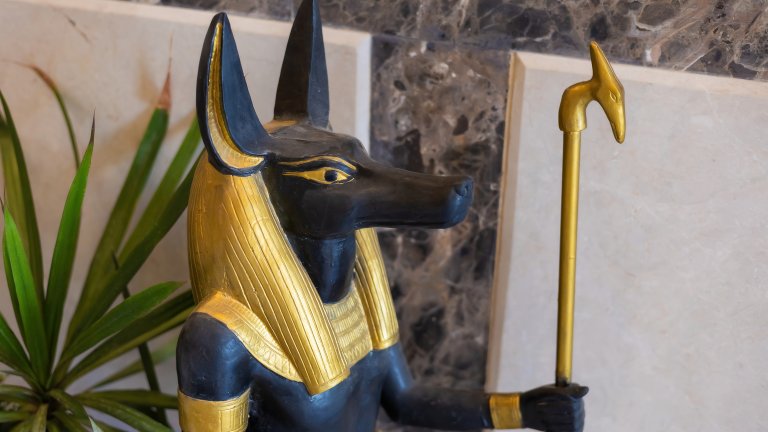 АнубисАнубис е бог в египетската митология, като му е отредена извънредно важна задача – да съпровожда душите на мъртвите към отвъдния свят. Като вид Анубис е чакал или с глава на чакал, като се смята, че има и двама помощници, също сходни с чакалите. Първообразът най-вероятно е била порода, кръстоска между диво куче и подобно на добермана куче.