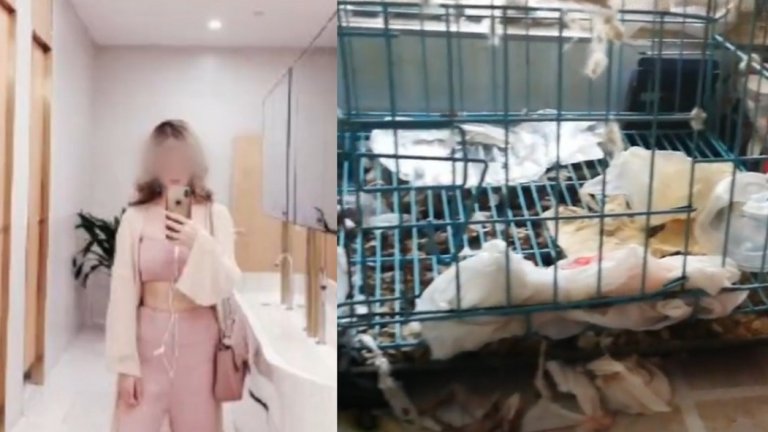 Лиса Ли има над 1 милион последователи в Weibo, пред които представя лъскавия си живот. Реалността обаче се оказва много по-... мръсна.