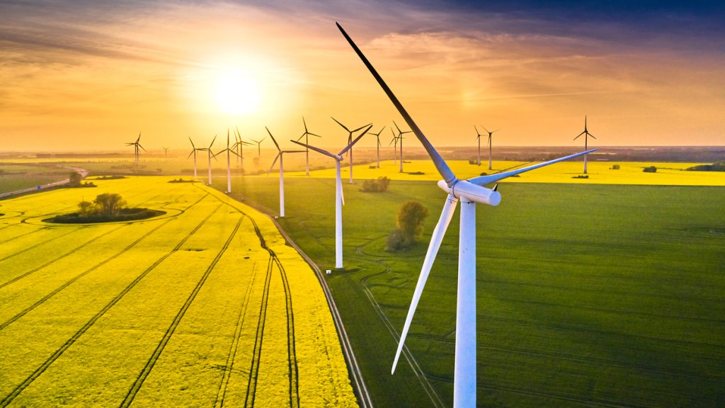 field of wind turbines in sunset in spring