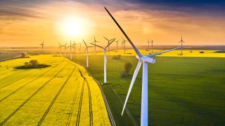 field of wind turbines in sunset in spring