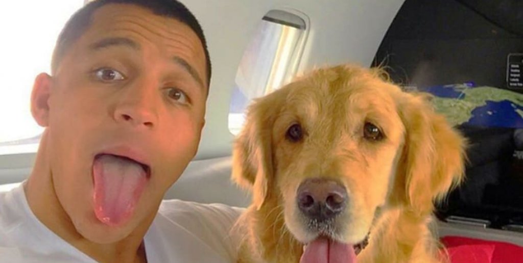 Жените умират за него, но той обича само мама Мартина и... кучетата си