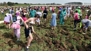 People-take-part-in-a-sex-toys-hunt-in-a-field-in-Wepionq