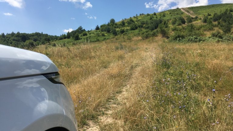 А агресивната муцуна е готова да сплаши всеки бракониер