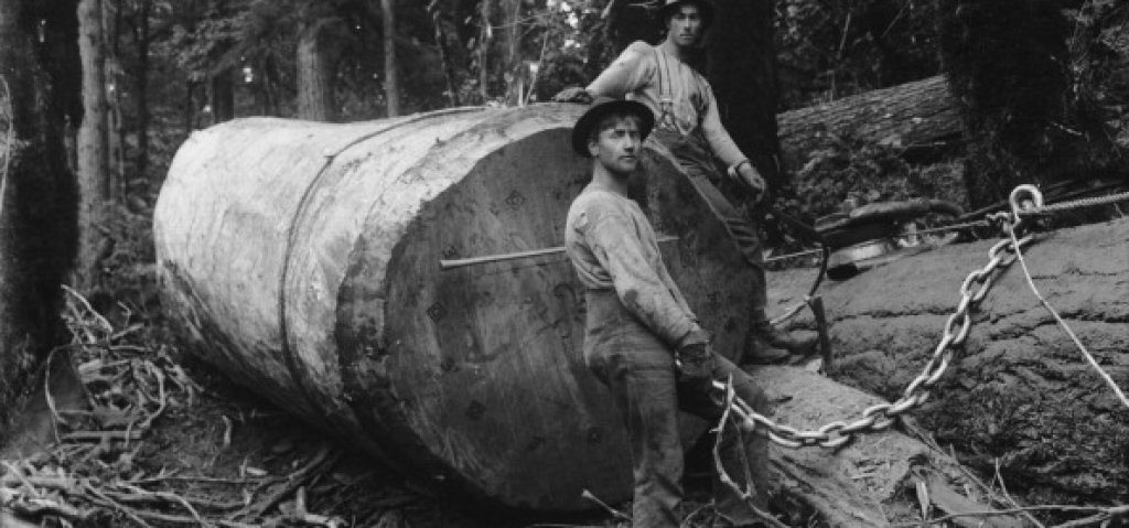 Истинските lumberjacks