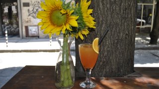 Барила Сиеста