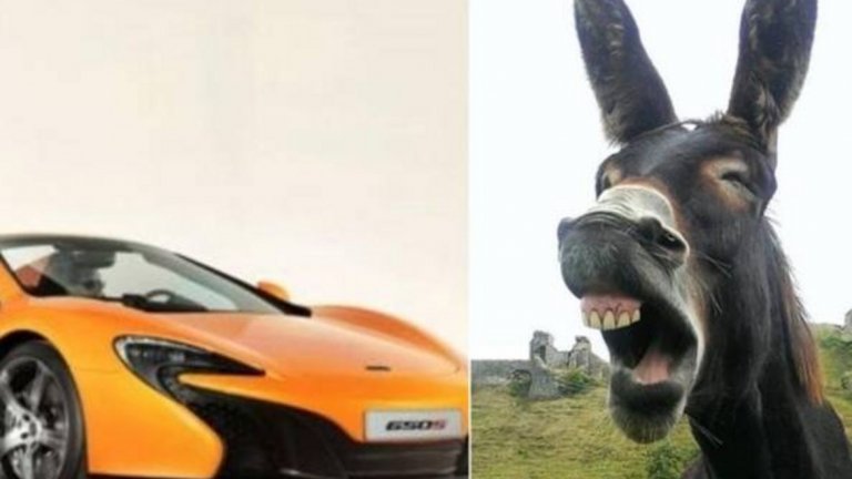 Магаре изяде боята на McLaren в Германия, наказаха собственика