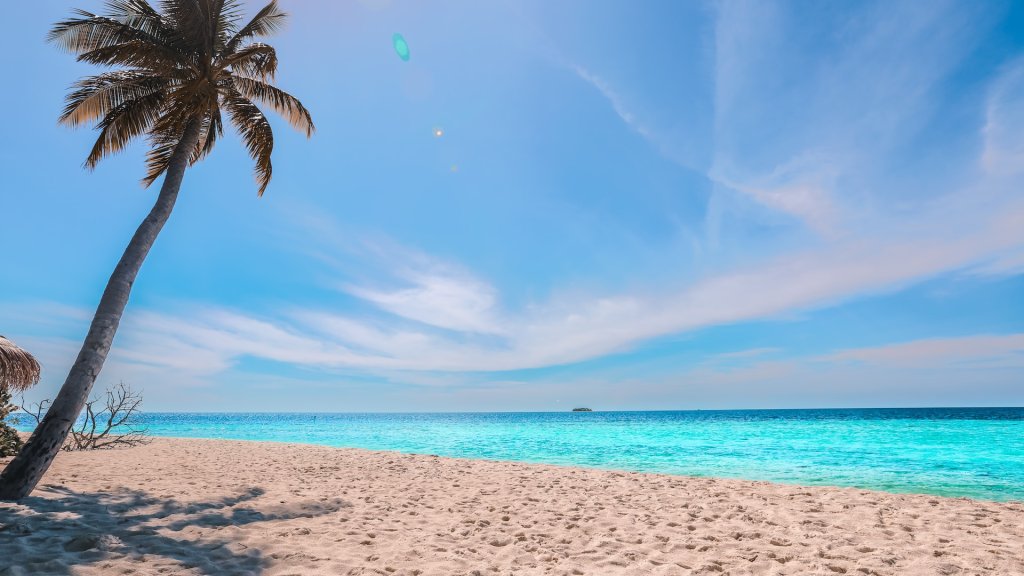 yang-wewe-OsFGJ3vXe9Q-unsplash