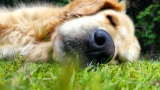 aleksandra-saluga-yP2fN7QKetY-unsplash