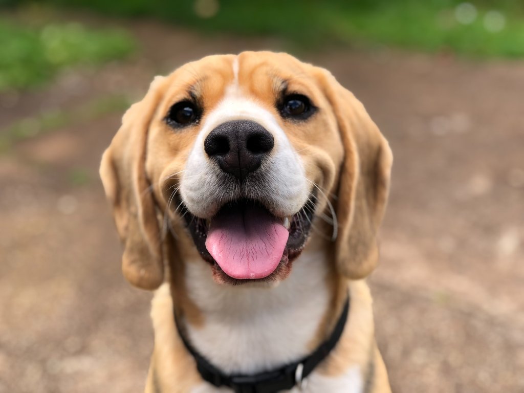 milli-2l0CWTpcChI-unsplash