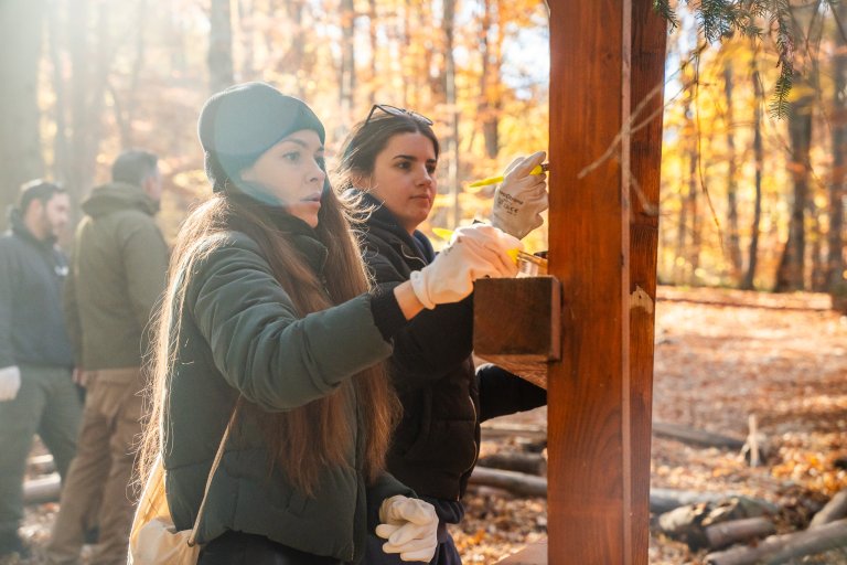 Служители обновяват табелите в Национален парк Витоша чрез програмата “The Collective“ в България