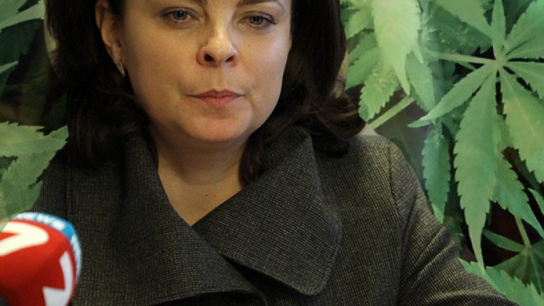 Употребата на марихуана за медицински цели не е уместна за България, заяви здравният министър д-р Таня Андреева