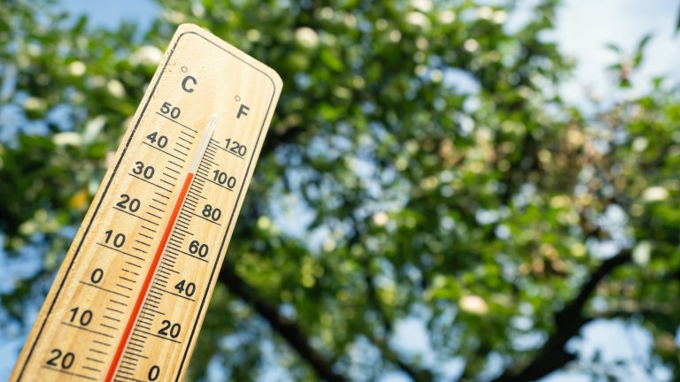 Очакваните температури са до 37 градуса