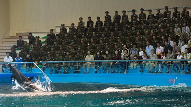 Северна Корея: Когато маските паднат