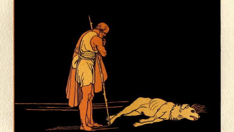 АргосАргос е кучето на Одисей от Омировата епическа поема. Кучето е описано като невероятно интелигентно и предано и чака търпеливо собственика си да се завърне на Итака. Накрая Одисей открива кучето обездвижено от дълбока старост и то веднага го разпознава.