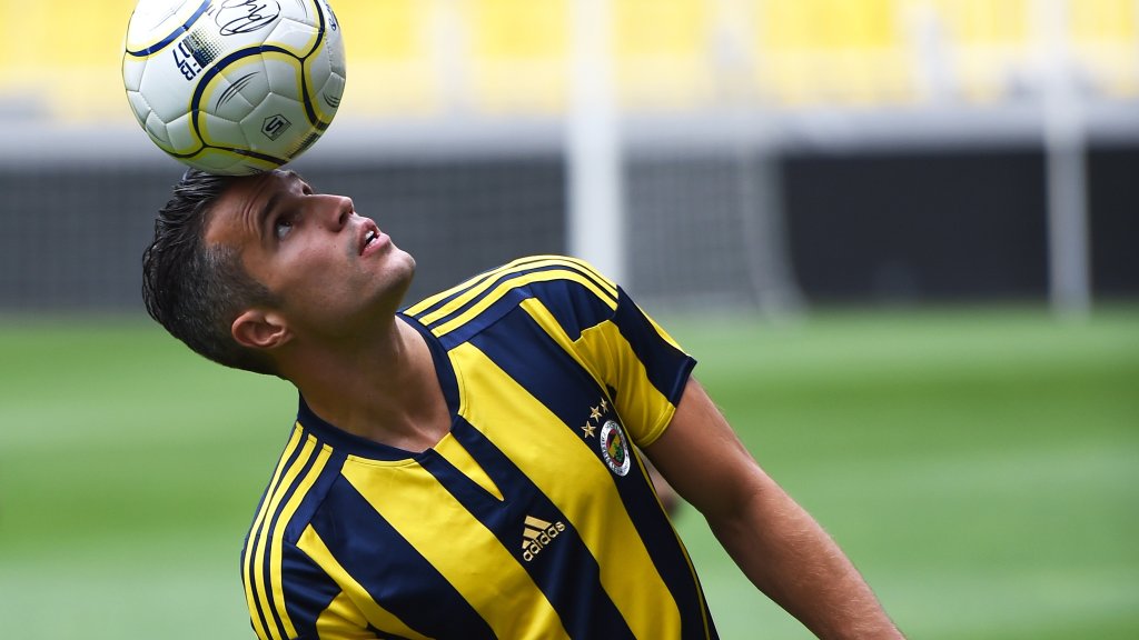 RobinvanPersie