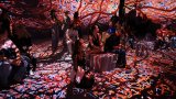 Любопитно VIDENIE: какво е това пространство?
