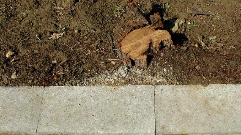 Естакада за "пример"