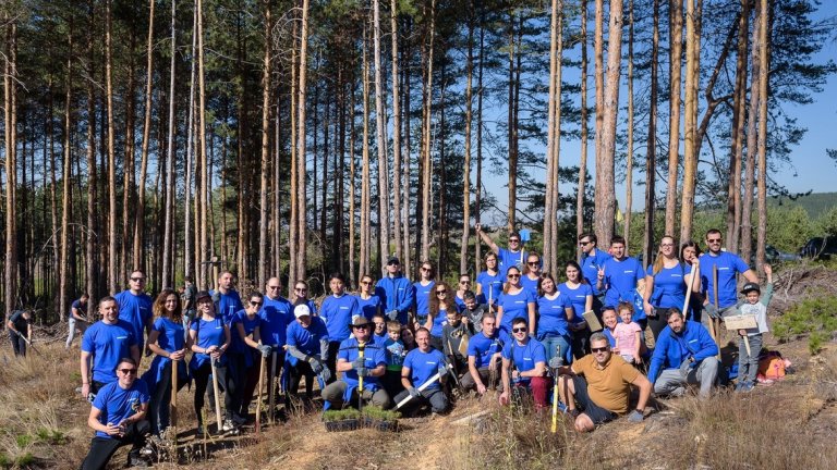 Служители на компанията вече засадиха 500 дръвчета край село Долна Диканя, а това е само началото на мащабна кампания.
