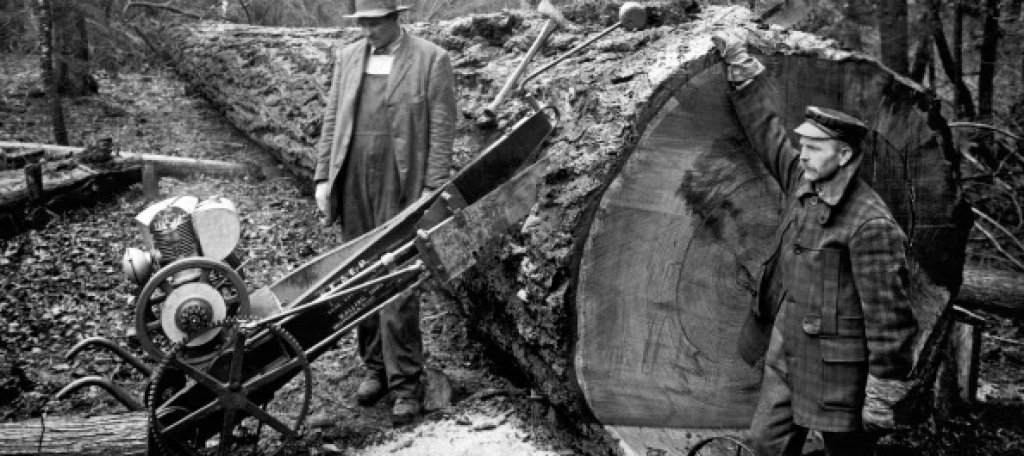 Истинските lumberjacks