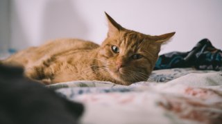 kat-von-wood-P0tZqeSpNic-unsplash