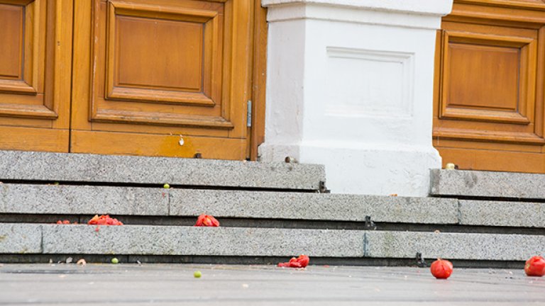 След кафето - Орлов мост