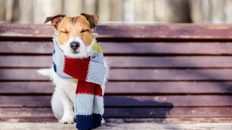 В Източна България термометрите ще показват до 18 градуса