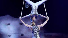 Ян Арно не е първият цирков артист от канадската компания, който загива при изпълнение на номер.