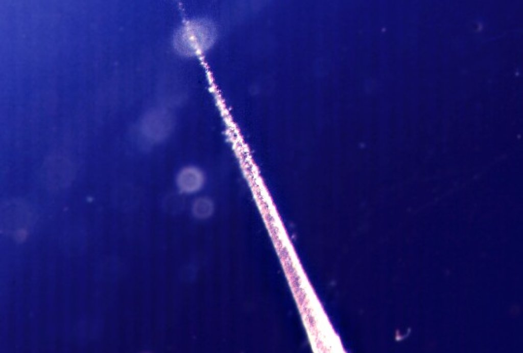 Meteoroid_track_through_aerogel_from_EURECA_mission