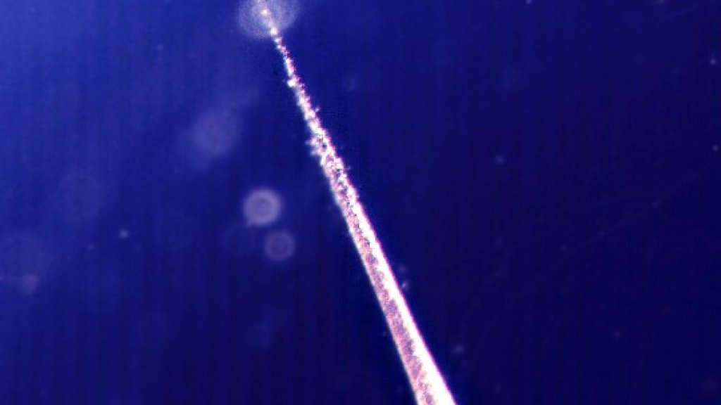 Meteoroid_track_through_aerogel_from_EURECA_mission