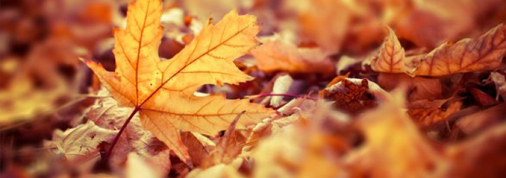October