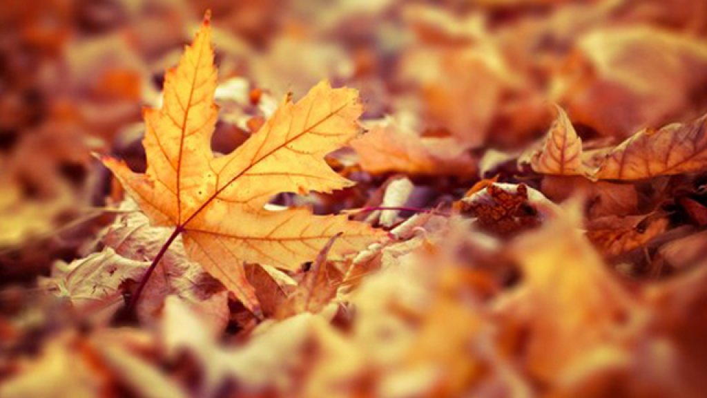 October