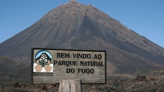 11191-boa5