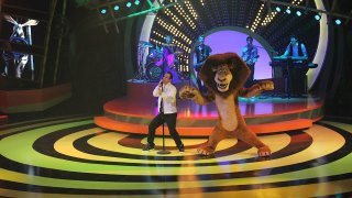 lion singer