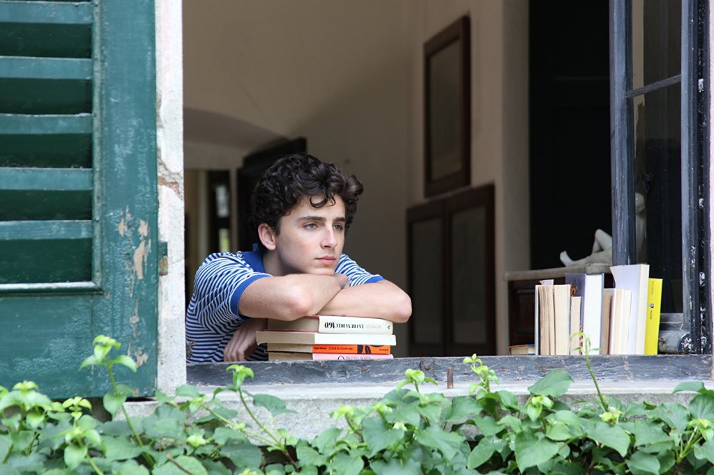 Тимъти Шаламе в \"Call me by your name\"
