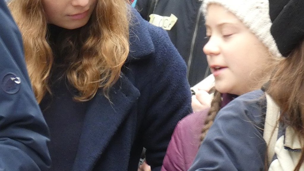 FridaysForFuture_Hamburg_2019-03-01_47_(cropped)