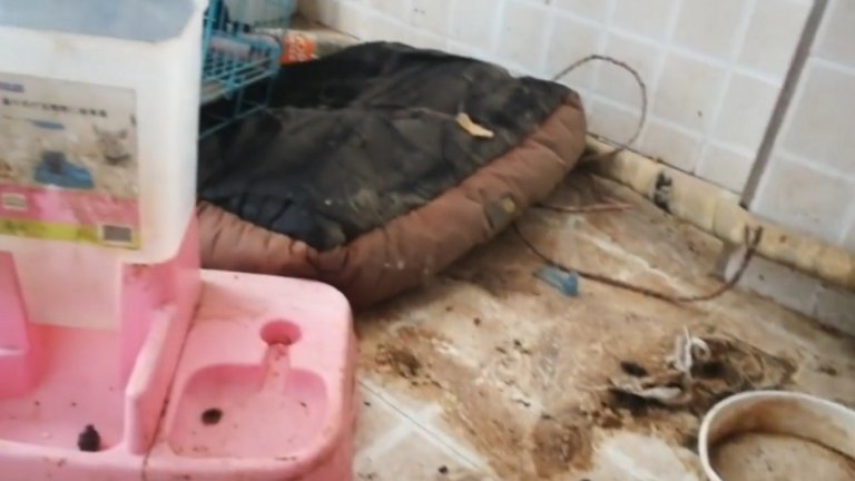 Състоянието на жилището, в което Ли живее, е показано от нейната хазяйка, която се оплаква от мръсотията и от това, че блогърката има неплатени сметки за хиляди юани.