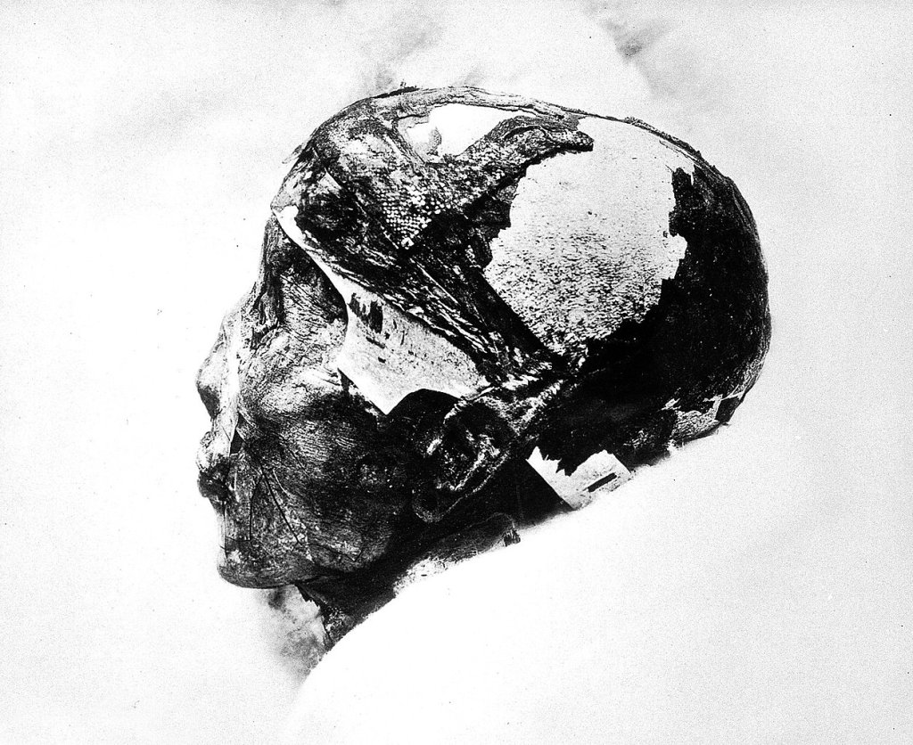 1254px-Tutankhamun's_mummified_head