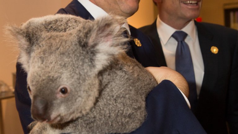 Италианският премиер Матео Ренци