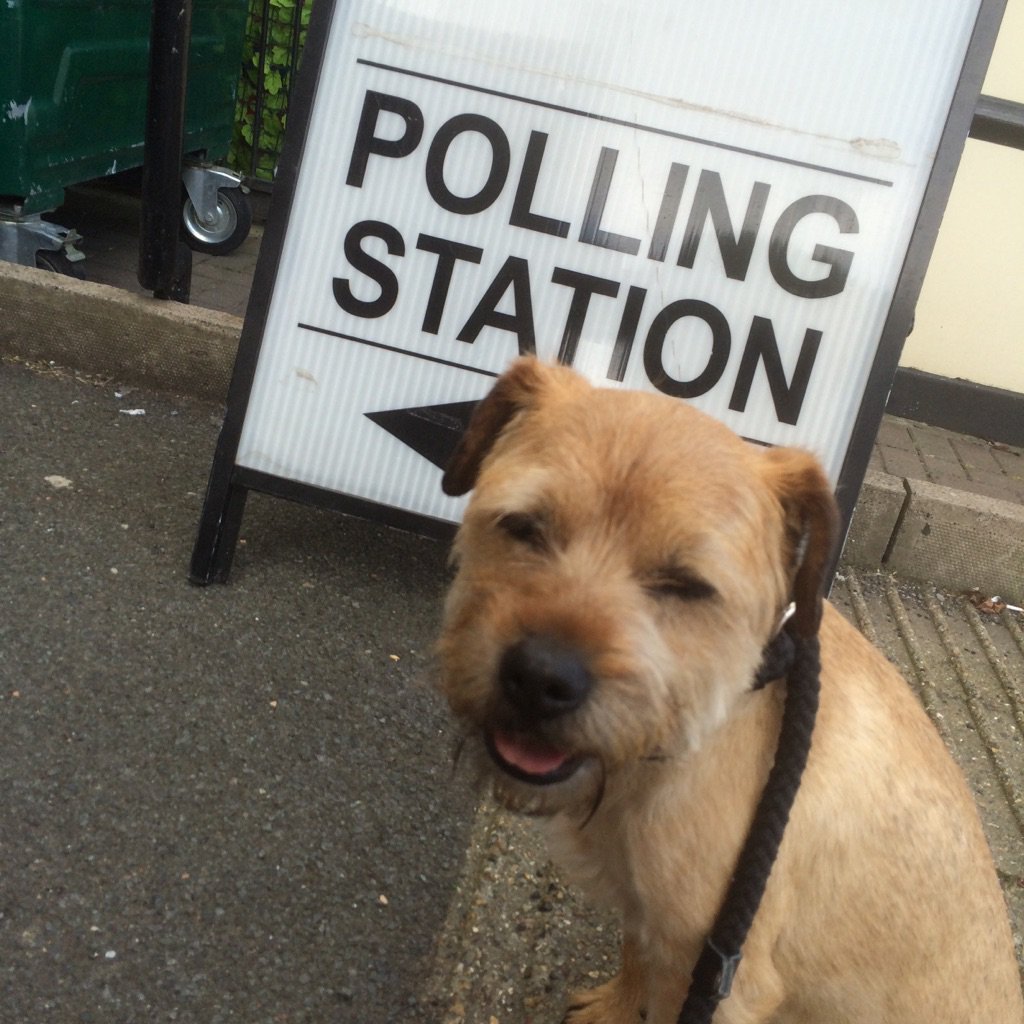 #dogsatpollingstations