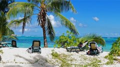 На Сейшелите парите на богатите туристи се използват за закрила на околната среда.