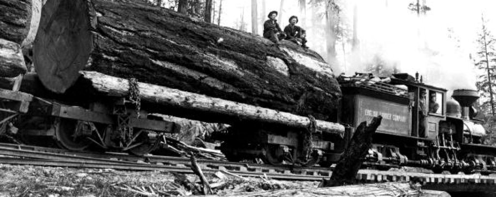 Истинските lumberjacks