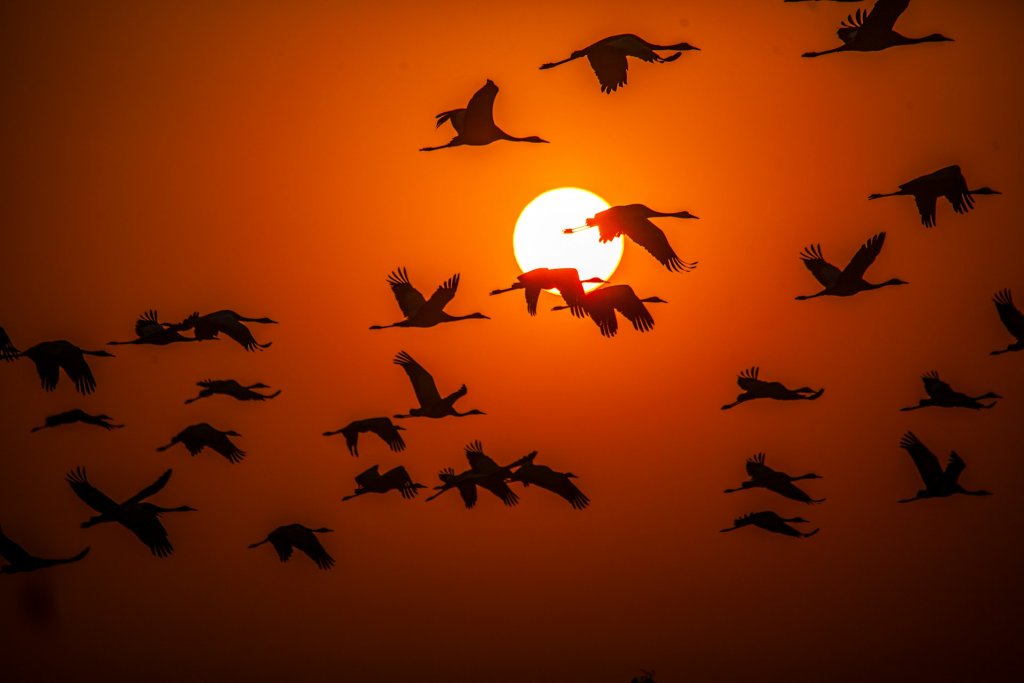 sandeep-damre-14IPTP-6mTc-unsplash