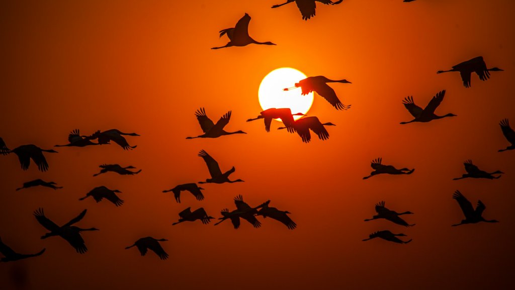 sandeep-damre-14IPTP-6mTc-unsplash