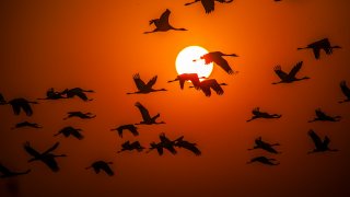 sandeep-damre-14IPTP-6mTc-unsplash