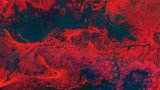 cassi-josh-lhnOvu72BM8-unsplash