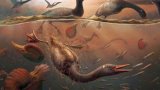 vegavis-iaai-swimming
