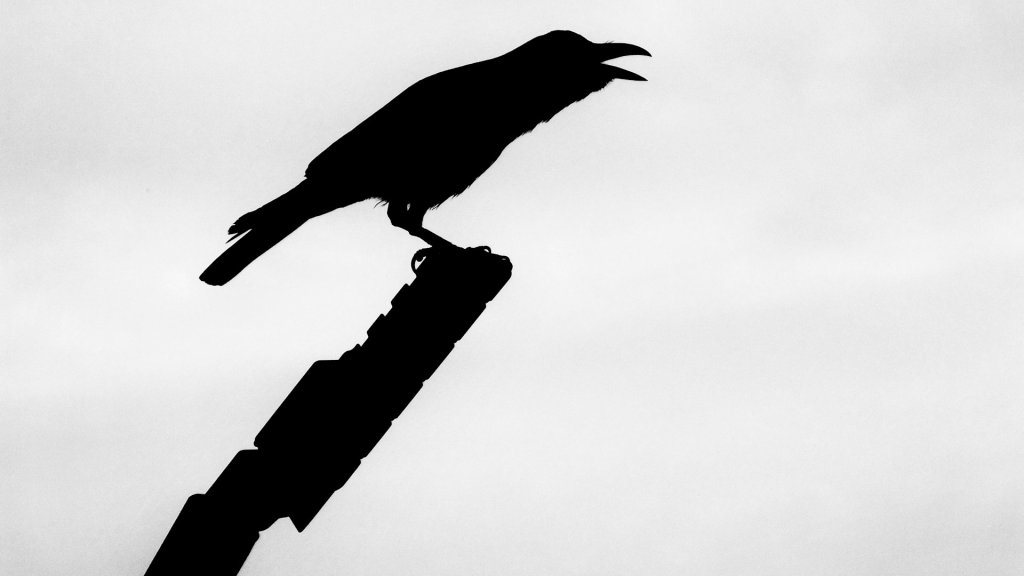 raghav-srikanth-VpDo--IGVRE-unsplash